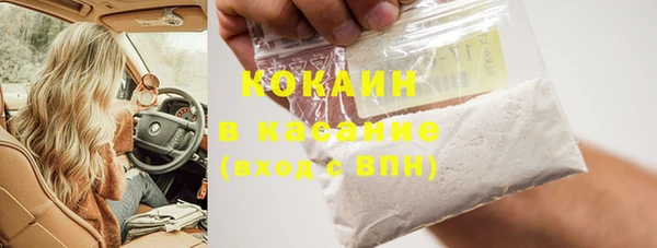 крисы Абаза