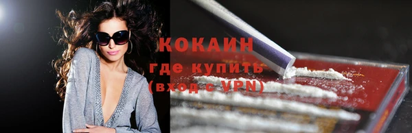 крисы Абаза