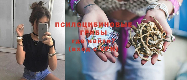 дживик Щучье
