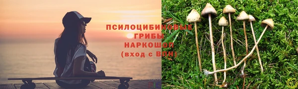 СК Алексеевка
