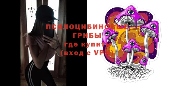 крисы Абаза